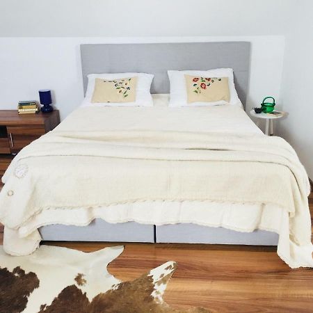 Casa Delia Apartment Laslea Luaran gambar