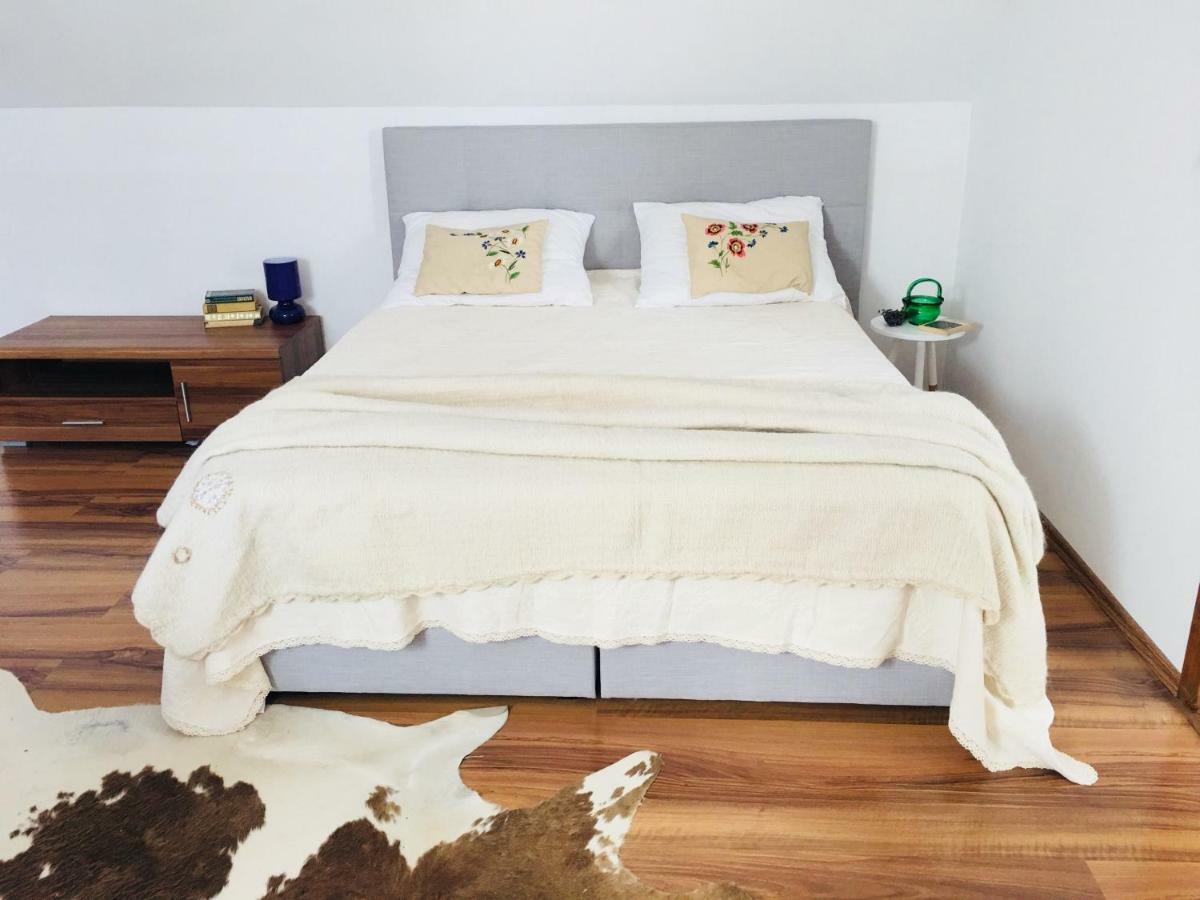 Casa Delia Apartment Laslea Luaran gambar
