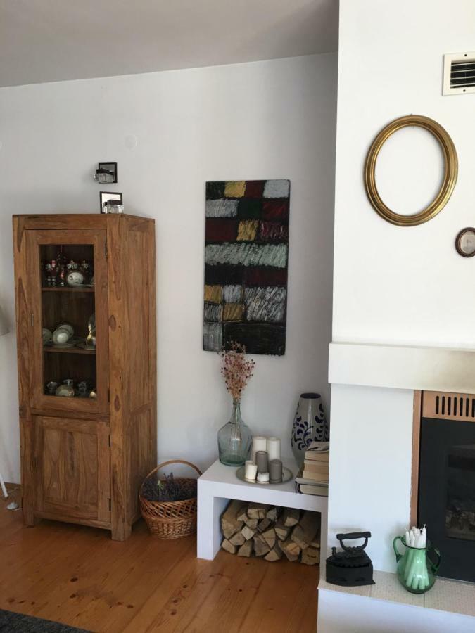 Casa Delia Apartment Laslea Luaran gambar